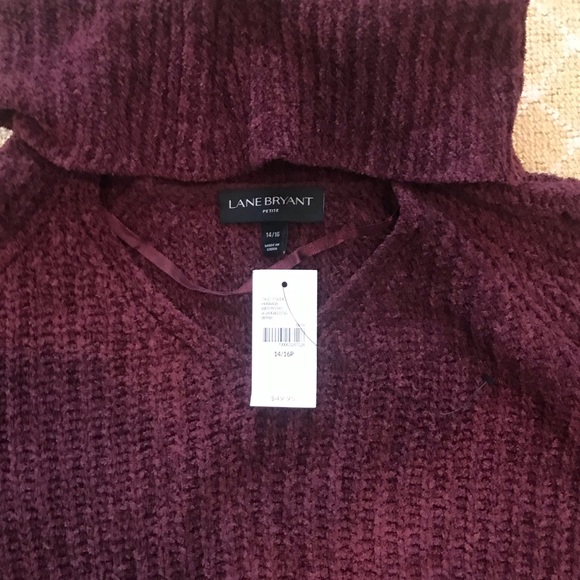 NWT Lane Bryant Chenille Cowl Neck Sweater - Picture 2 of 3